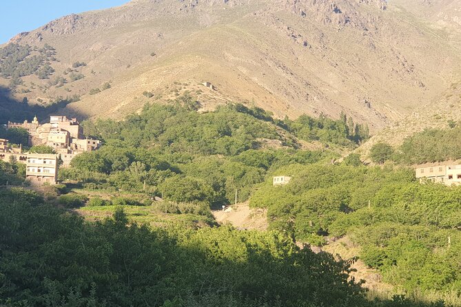 Atlas Mountains Day trip,3 Valleys & Waterfalls from Marrakech. - Price and what you actually get for $25