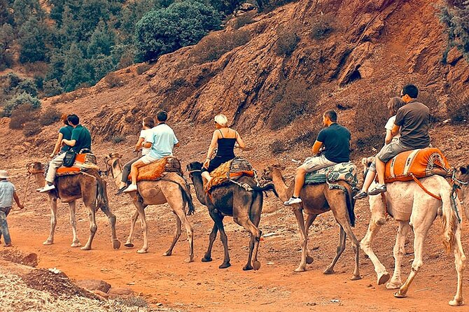 Atlas Mountains Day Trip from Marrakech and Three Valleys Guided Tour - Key points to know before you go