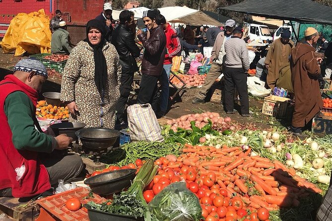 Atlas Mountains Day Trip from Marrakech and Three Valleys Guided Tour - Ourika Valley and the return to Marrakech