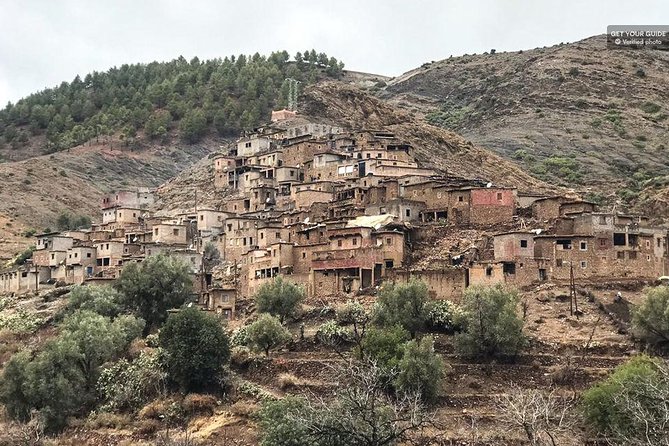Atlas Mountains Day Trip with Camel Ride - Ladies Cooperative Of Argan Oil: A Hands-On Local Stop
