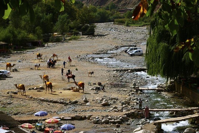 Atlas Mountains Day Trip with Camel Ride - Price And Value: What $94.18 Really Buys You