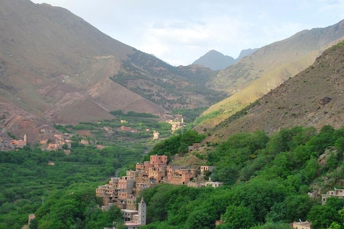 Atlas Mountains Day Trip with Camel Ride from Marrakech - Traditional Berber lunch and the family-home mint tea moment