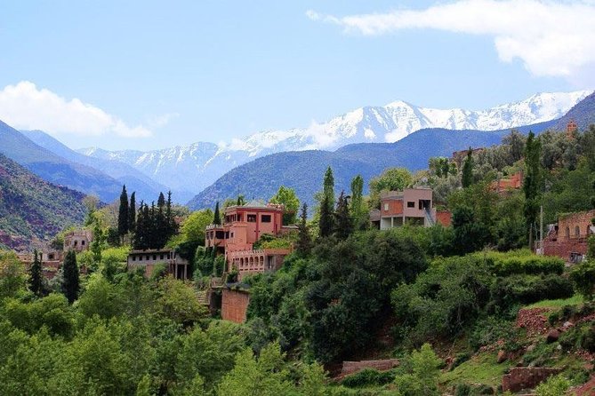 Atlas Mountains Day Trip with Camel Ride - Berber Family Welcome: Tea, Bread, Honey, Olive Oil