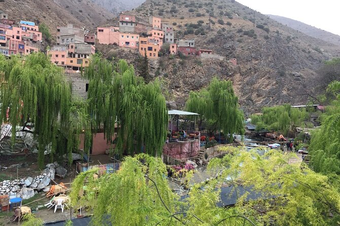 Atlas Mountains day Trips and berbers villages - Imlil Family Lunch: Where the Day Slows Down
