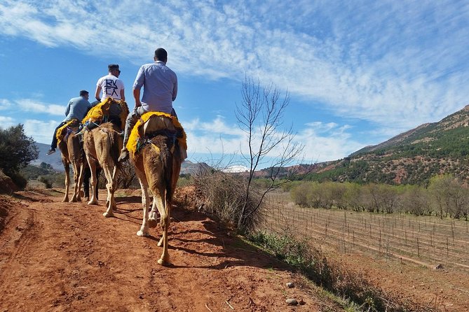 Atlas Mountains day Trips and berbers villages - Value Math for a $40.65 Atlas Mountains Day Trip