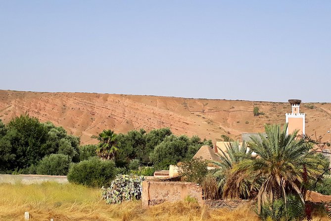 Atlas Mountains experience day trip - Lunch at a Berber family house: three courses, real cooking