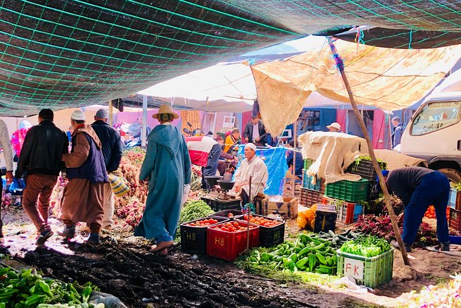 Atlas Mountains experience day trip - Ourika Valley: the Berber market (and the museum backup) plus argan oil