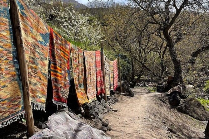 Atlas Mountains Full-Day Hiking Trip from Marrakech - Moulay Brahim Gorges: Streams, Trail Forks, and a Camel Ride