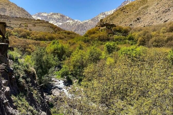 Atlas Mountains Full-Day Hiking Trip from Marrakech - Price and Logistics: Is $46 Good Value for an Atlas Day?