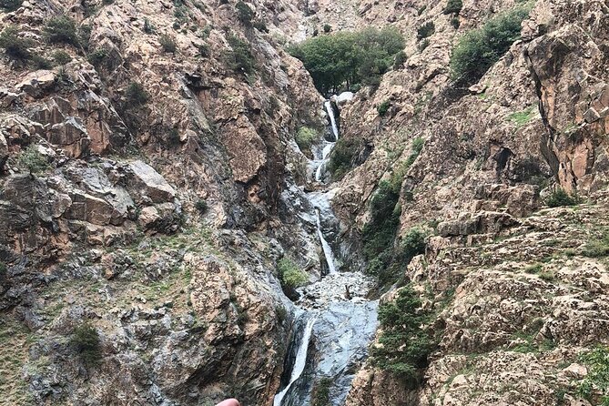 Atlas Mountains Half-Day Tour From Marrakech - Transport, Time, and Why the $80.14 Price Can Be Fair