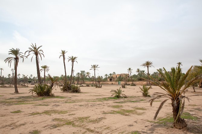 Atlas Mountains Hot Air Balloon Ride from Marrakech with Berber Breakfast and Desert Camel Experience - The balloon flight itself: views, photos, and how the ride feels
