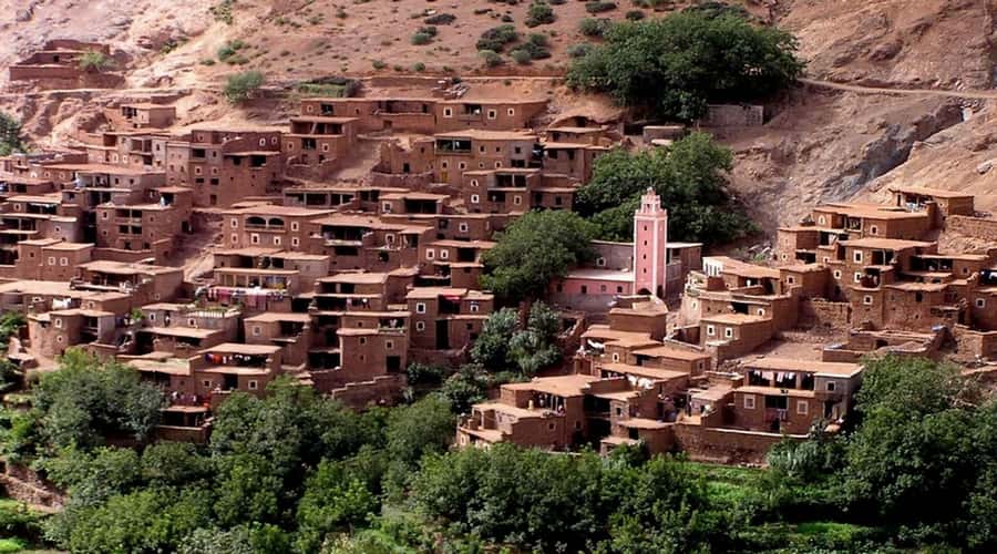 Atlas Mountains: Ijoukak and 4 Valleys with Camel Ride - Argan women cooperative and the argan oil stop, the practical Morocco lesson