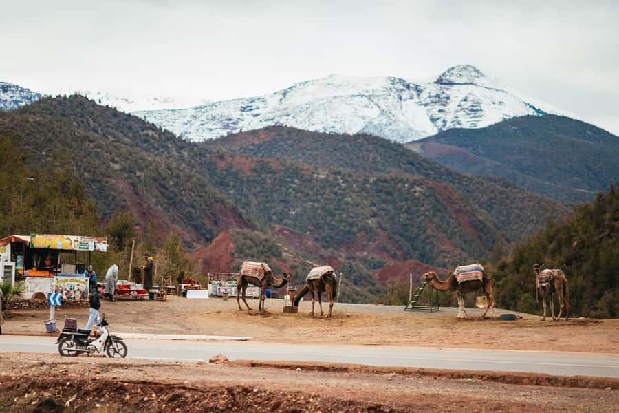 Atlas mountains, Ourika valley, berber villages trip & Guide - Women’s Argan Oil Cooperative: What You’re Really Paying For