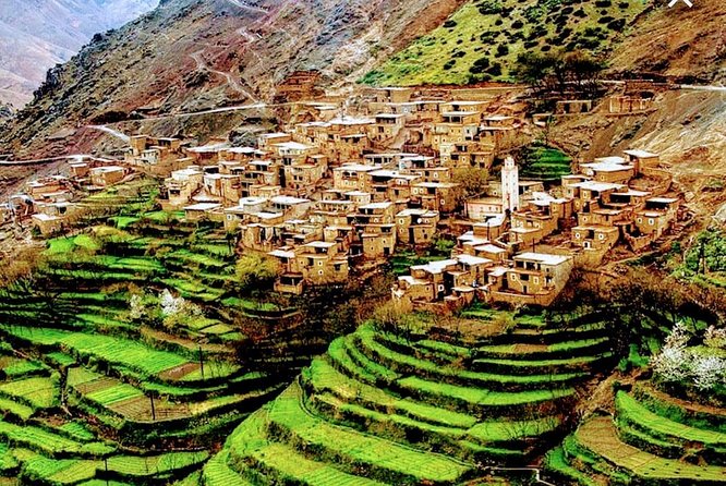Atlas Mountains Ourika valley Day Tour from Marrakech - Key things I found most useful