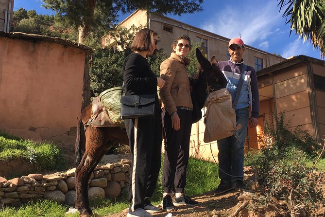Atlas Mountains Ourika valley Day Tour from Marrakech - Berber house lunch: tasty but double-check what is covered