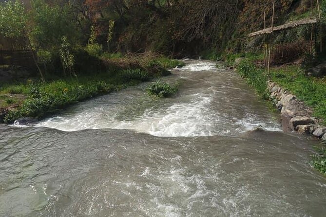 Atlas Mountains ourika valley Guided Tour - Lunch in Setti Fatma: plan for food costs