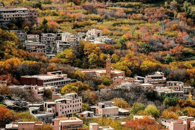 Atlas mountains privat day trip - Key highlights to know before you go