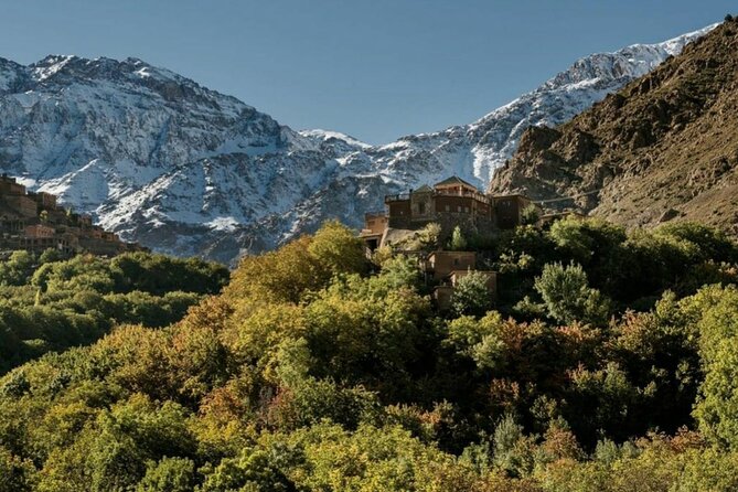 Atlas mountains privat day trip - Lunch and tea: real fuel, not a sad side quest
