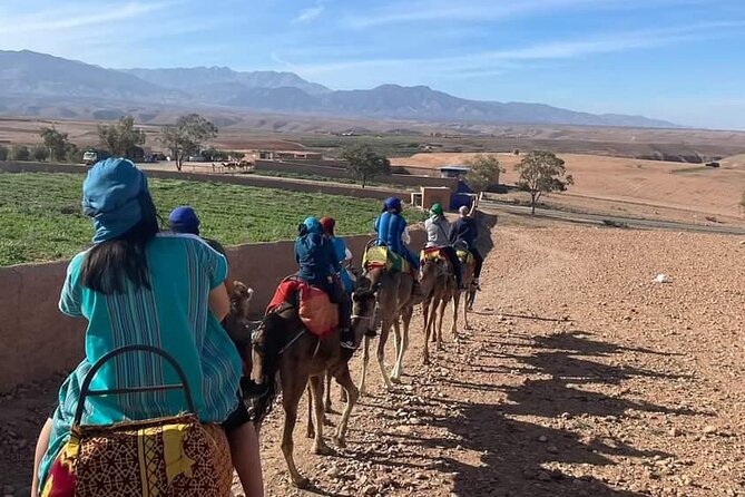 Atlas Mountains Three Valley and Berber Villages & Watterffalls Day Tour - The three valleys drive: how the views and villages fit together