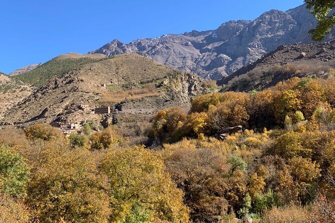 Atlas Mountains Three Valley and Berber Villages & Watterffalls Day Tour - Women’s argan oil cooperative: why this stop is more than shopping
