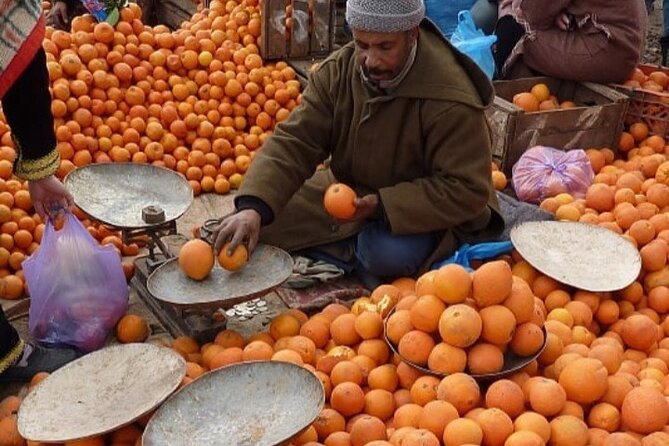 Atlas Mountains Tour from Marrakesh - Key highlights you should care about