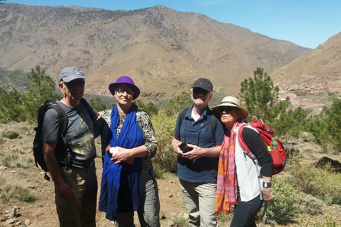 Atlas Mountains, waterfalls and Berber Villages with a guide - Aguersioual orchards and High Atlas viewpoints