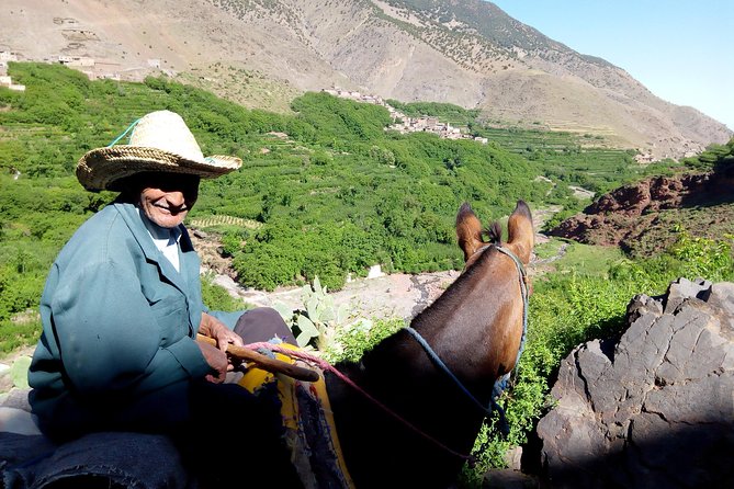 Atlas Mountains, waterfalls and Berber Villages with a guide - Imlil and Aroumd village: the walk that makes the day feel real