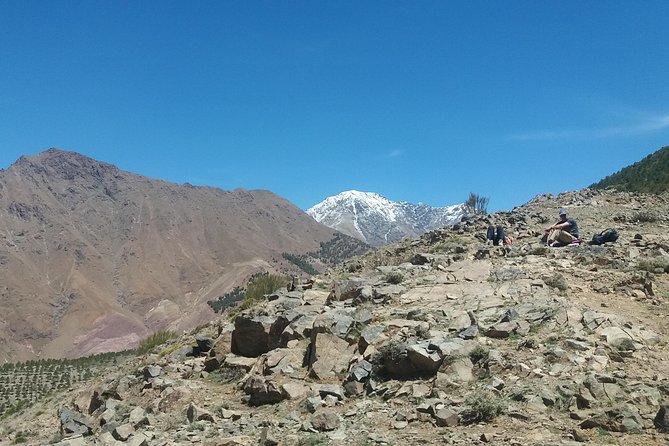Atlas Mountains, waterfalls and Berber Villages with a guide - Lunch in Berber houses: what you pay for and what you gain