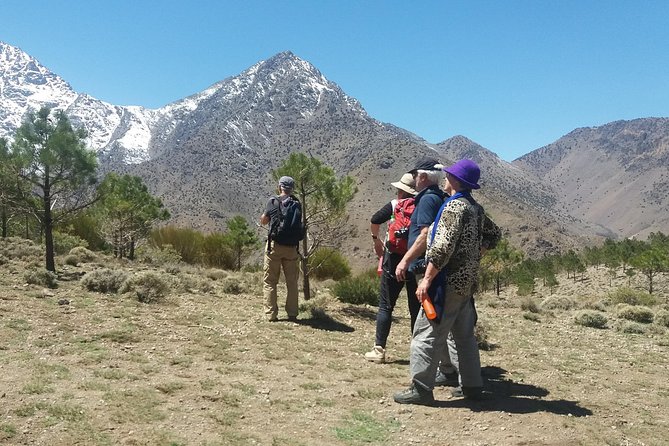 Atlas Mountains, waterfalls and Berber Villages with a guide - Pickup, transport, and how group size affects your day
