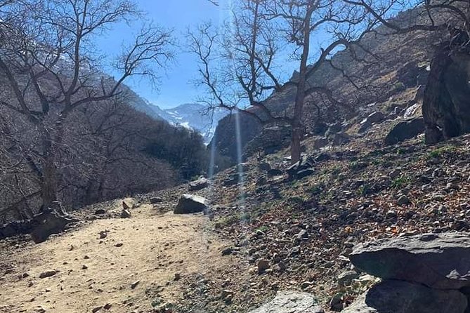 Atlas Mountains, Waterfalls Day Hike & Trek From Marrakech - Wawfraft Forest and Tidli Valley Above 2,100m