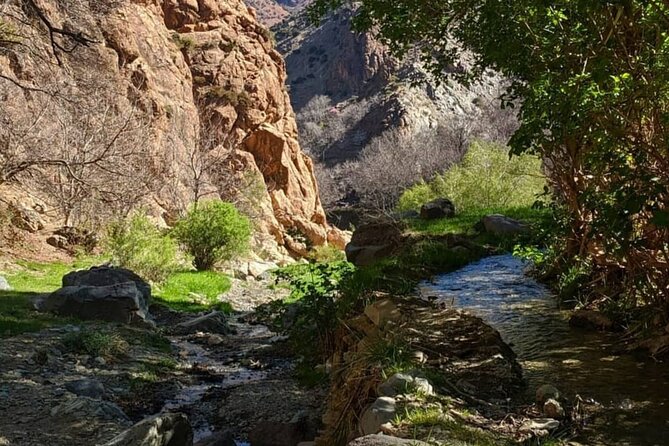 Atlas Mountains & Waterfalls Day Trip from Marrakech - Price and value: what you’re really paying for at $18