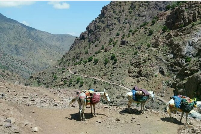 Atlas Valleys & Mount Toubkal Private 3 Days Trek From Marrakech - What Is Included, and Why It Changes Your Experience