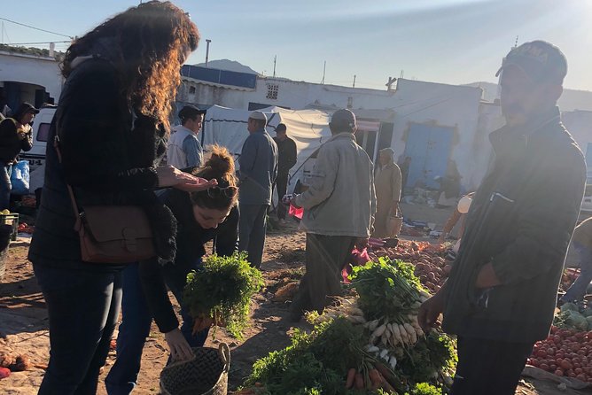 Berber Cooking Class at a Farm in the Countryside & shopping at a rural Souk. - Price and value: what $98.76 buys you in a 7-hour small group
