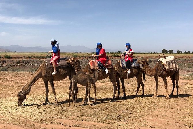 Berber Villages 3 Valleys & Camel ride Atlas Mountains Day Trip - Agafay slopes and the camel ride choice you should plan around