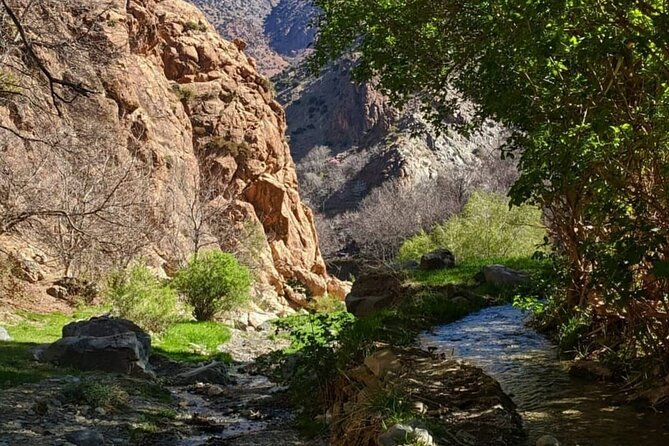 Berber villages : Atlas Mountains Day Hike from Marrakech - Private tour option for flexible schedules