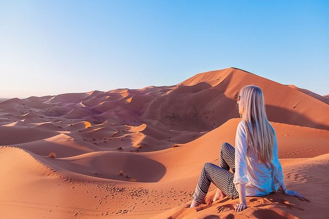 Best 9-Day Morocco Tour From Casablanca - Day 4: Fez medina essentials, Mellah, tanneries, and the Al Qaraouine University area