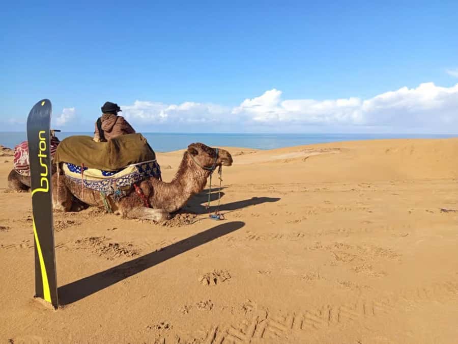 Best Agadir Desert Adventure: Quad Camel Sandboarding & BBQ - Optional Quads: If You Want Speed and Variety