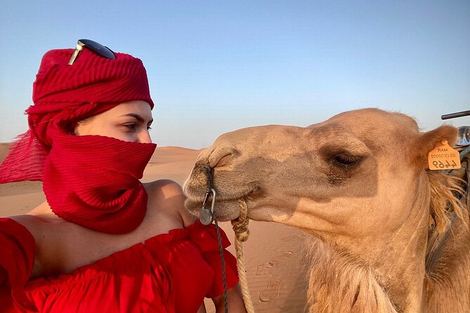 Best Fes to Merzouga Desert Tour 2 Days - Quad Bike Dunes, Optional Camel Rides, and a Camp Night With Real Atmosphere