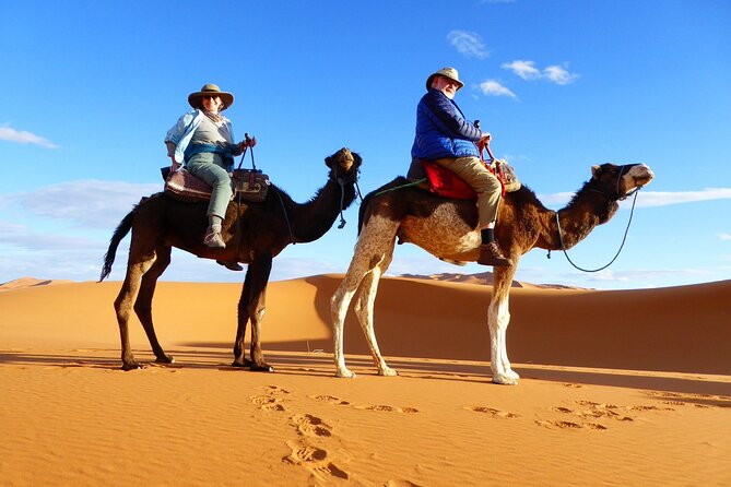 Best Fes to Merzouga Desert Tour 2 Days - Ifrane, Azrou Cedar Forest, and Midelt Lunch Breaks