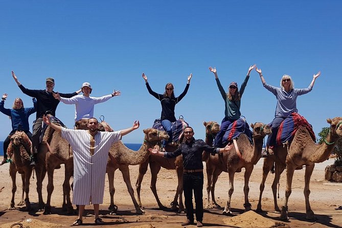 Best of Tangier: Camel Ride, Medina Walk & Breathtaking Views - Tangier Casbah fortress views: where architecture and sea meet