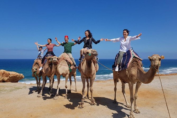 Best of Tangier: Camel Ride, Medina Walk & Breathtaking Views - Sea view comfort and group rhythm: logistics that affect your day