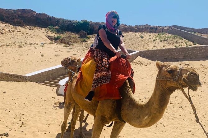 BEST SELLER TANGIER PRIVATE TOUR: Highlights, Camels & Old Town - Camels for Ride and/or Pictures, Not Just a Photo Line