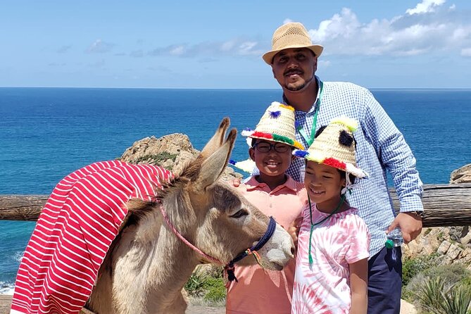 BEST SELLER TANGIER PRIVATE TOUR: Highlights, Camels & Old Town - Flexibility With Your Day, the Real Value of a Private Guide