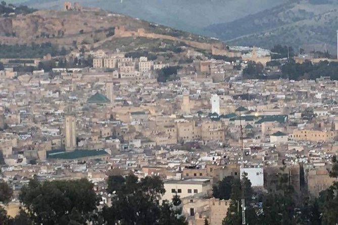 Best Tour In Fez Médina With ( Private )Tour Guide - Price and Logistics: What $46.46 Buys You in Real Value