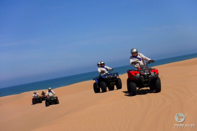 Big Cap Sim dunes and forest 3 hours tour. - Stop style: Essaouira dunes and the beach approach toward the lighthouse