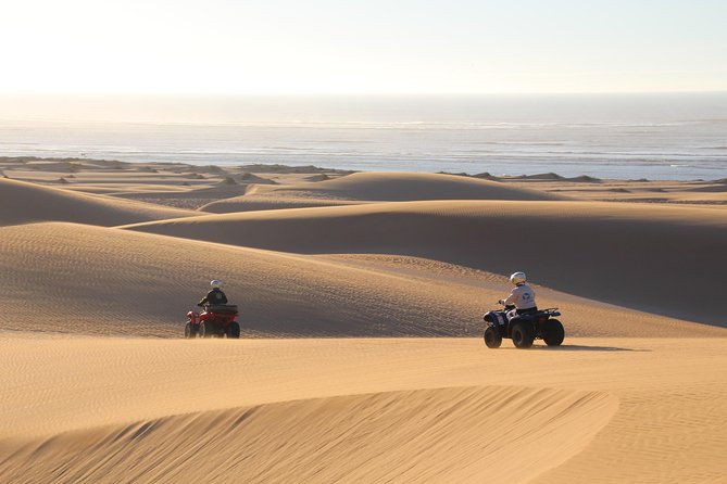 Big Cap Sim dunes and forest 3 hours tour. - The starting point in Essaouira, and how the first 30 minutes shape the ride