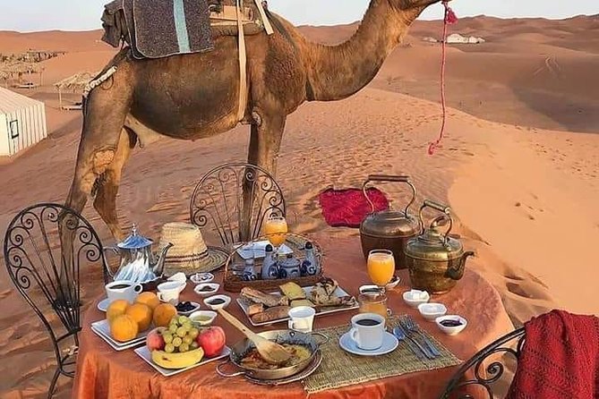 Big Morocco Tour 15 Days From Casablanca - The Morocco route that makes sense: Casablanca, imperial cities, desert, then the coast