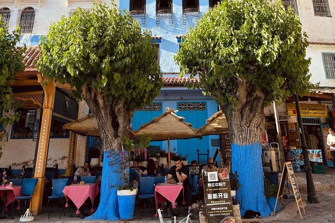 Blue Paradise from Tangier to Chefchaouen - The Return Drive Back To Tangier