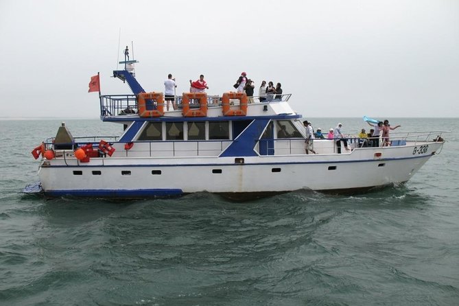 Boat Tours in Agadir lunch including ( sea food ) - Key Highlights I’d Prioritize in Agadir
