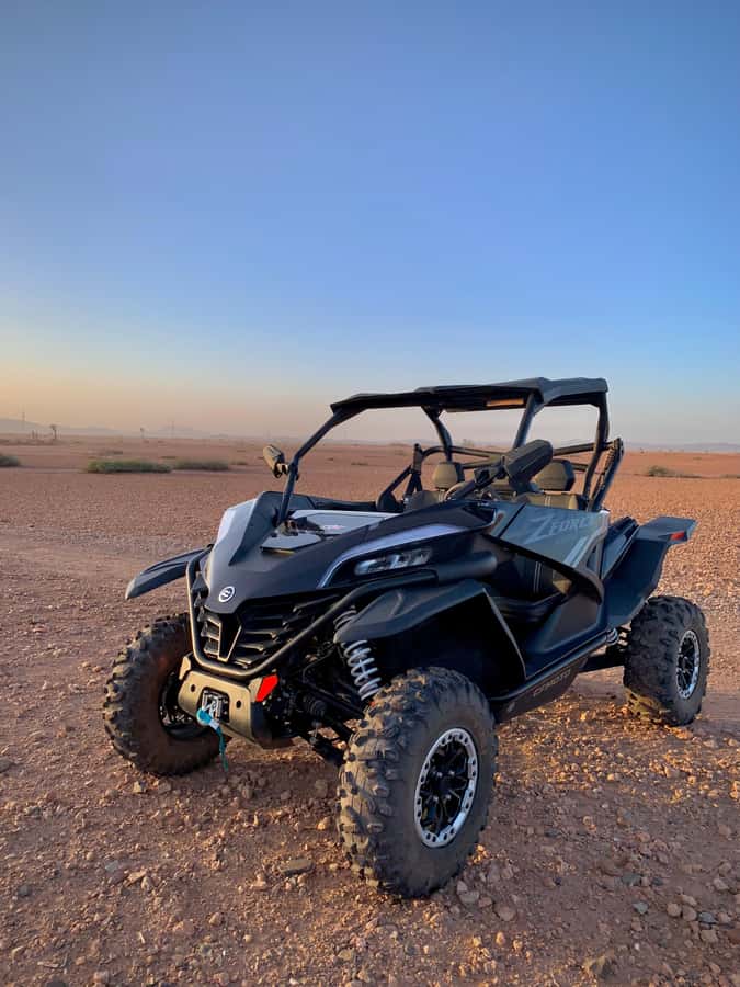Buggy Marrakech Desert and Palmerie - Key things you should know before you go